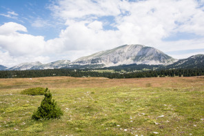 Trek autour des Hauts Plateaux – Entre le pas des Chattons et la Grande Cabane