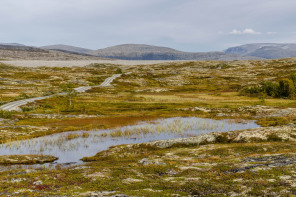 Aursjøvegen road