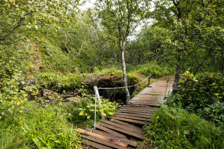 Randonnée de Nesland à Nusfjord