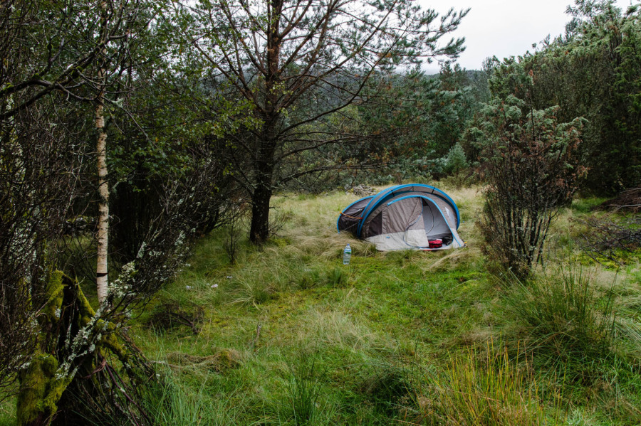 Camping sauvage près du Lysefjord