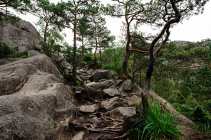 Randonnée du Preikestolen