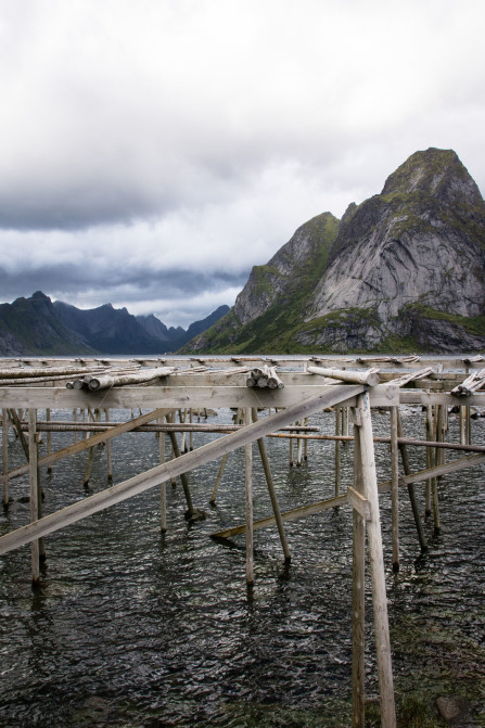 Hamnøy