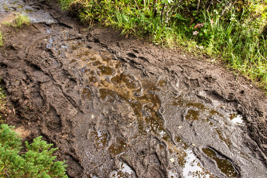 La boue : un incontournable des randos aux Lofoten