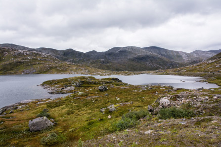 Camping sauvage sur la route de Sifjord