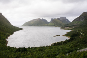 Bergsfjord