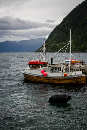 Vue du Sognefjord depuis Vik