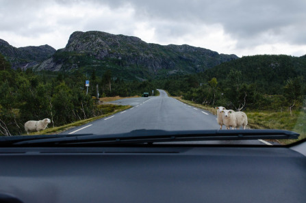 Route dans le Telemark