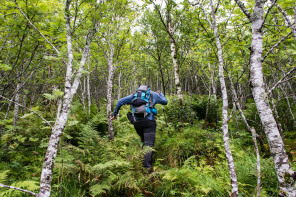 Randonnée de Håtinden – Première partie dans les bois