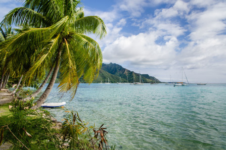 Plage d'Opunohu