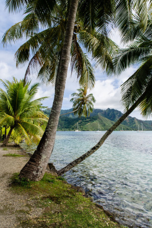 Plage d'Opunohu