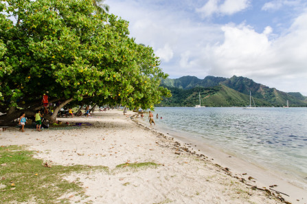 Plage d'Opunohu