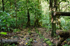 Début de la randonnée des 3 cocotiers