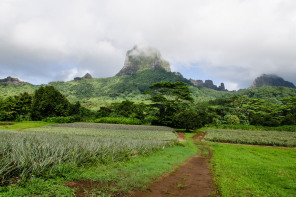 Lycée agricole d’Opunohu