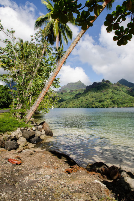 Baie de Cook