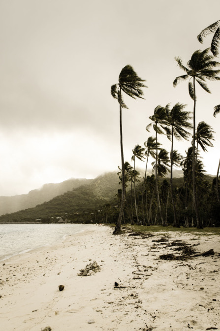 Plage de Temae