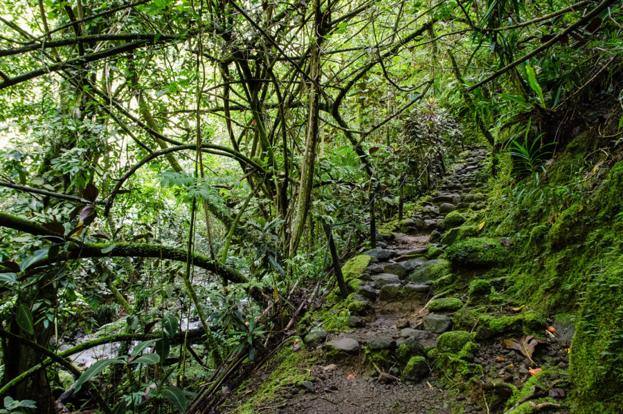 Cascades de Faarumai