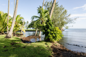 Jardin botanique de Tahiti