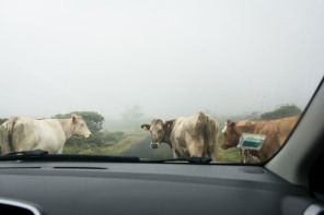 Caminho das lagoas