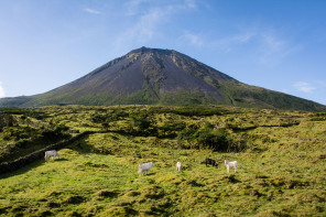 Sur les routes de Pico