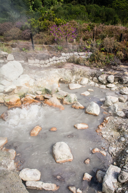 Lagoa das Furnas