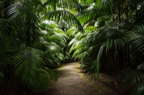 Parc Terra Nostra