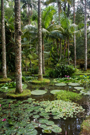 Parc Terra Nostra