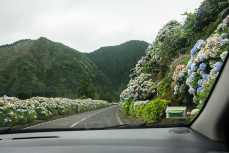 Sur les routes de Sete Cidades