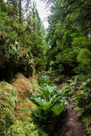 Randonnée de la serra Devassa