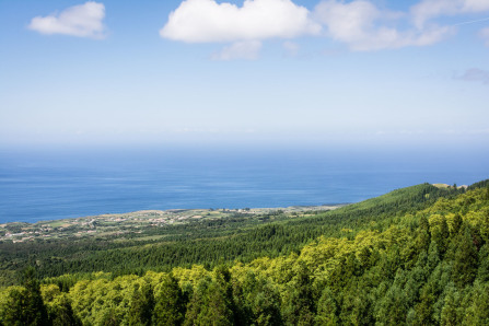 Vue du toit du Monte Palace