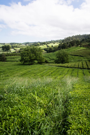 Randonnée de Gorreana