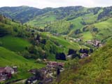 Münstertal Münstertal