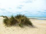 Plage de Blankenberge Plage de Blankenberge