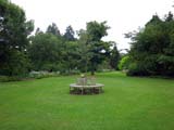 Arboretum de Kalmthout Arboretum de Kalmthout
