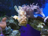 Aquarium-Museum Aquarium-Museum
