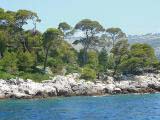 Vue depuis le port de Lokrum Vue depuis le port de Lokrum