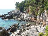 Crique au nord-ouest de l'île de Lokrum Crique au nord-ouest de l'île de Lokrum