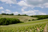 Route touristique de la Vallée de la Marne Route touristique de la Vallée de la Marne