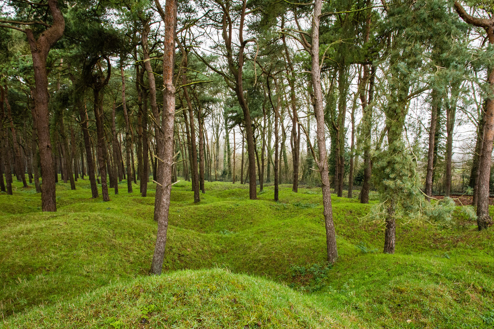 Chemins de mémoire de la Grande Guerre - Les Destinations de Julie