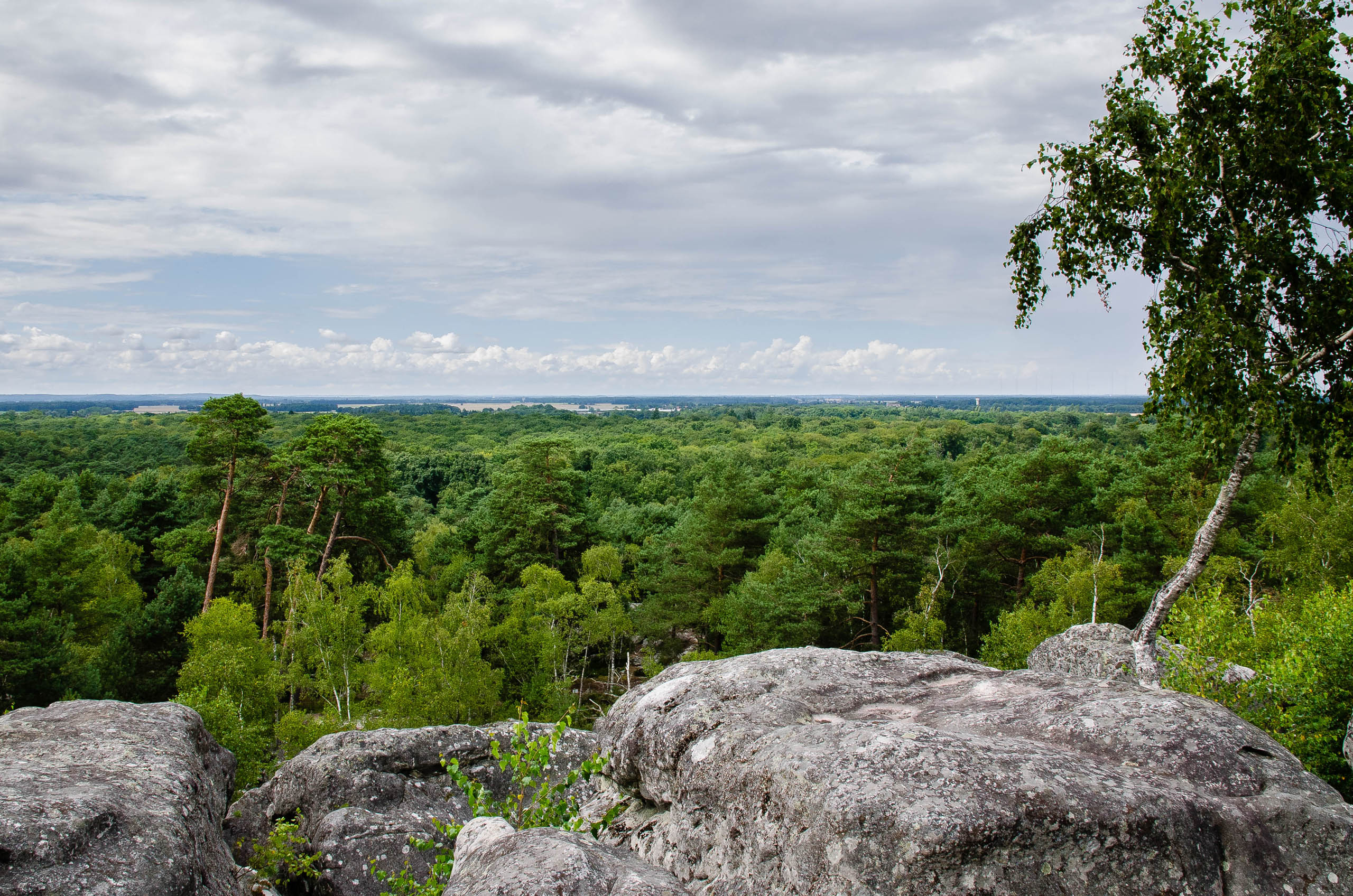 Forêt de Fontainebleau