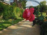 Metz – Jardin botanique Metz – Jardin botanique