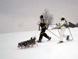 Cani-raquettes Cani-raquettes