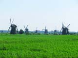 Moulins de Kinderdijk Moulins de Kinderdijk